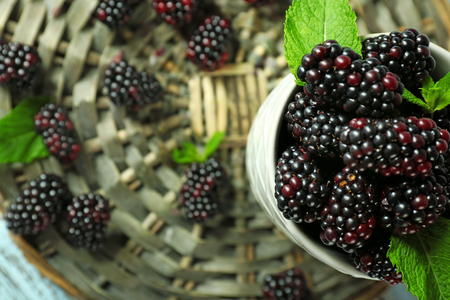 Heap of sweet blackberries with mint in cup on table close upの写真素材