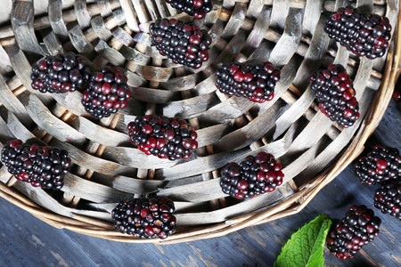 Heap of sweet blackberries with mint on table close upの写真素材