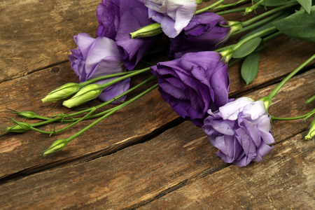 Beautiful eustoma on wooden backgroundの写真素材
