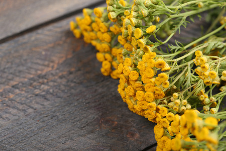 Beautiful wild flowers on wooden backgroundの写真素材