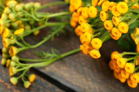 Beautiful wild flowers on wooden table close upの写真素材