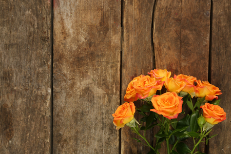 Beautiful small roses on wooden backgroundの写真素材