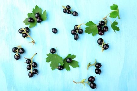 Ripe black currants on blue wooden backgroundの写真素材