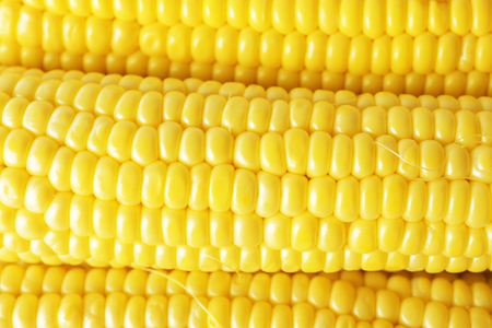 Fresh corn, closeupの写真素材