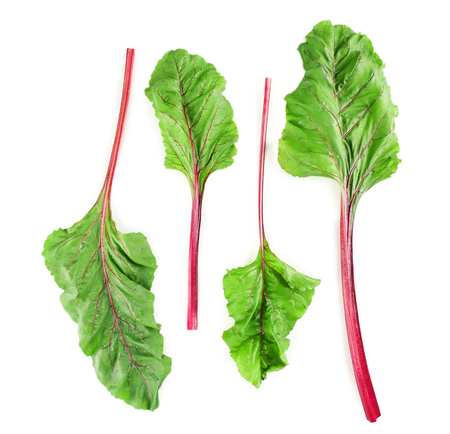 Fresh swiss chard, isolated on whiteの写真素材