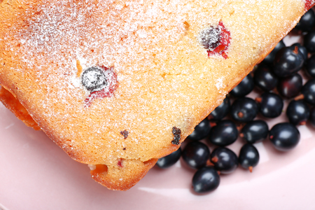 Freshly baked cake with black currants in pink plate, closeupの写真素材