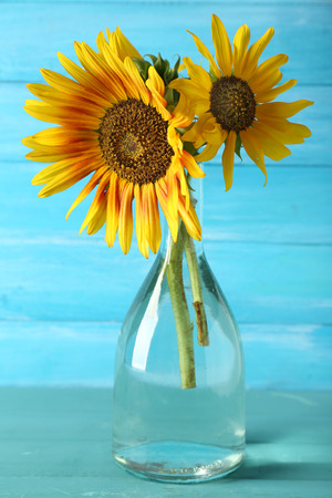 Beautiful sunflowers in vase on wooden backgroundの写真素材