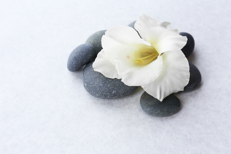 Spa stones with flower on light backgroundの写真素材