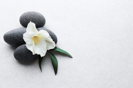 Spa stones with flower on light backgroundの写真素材