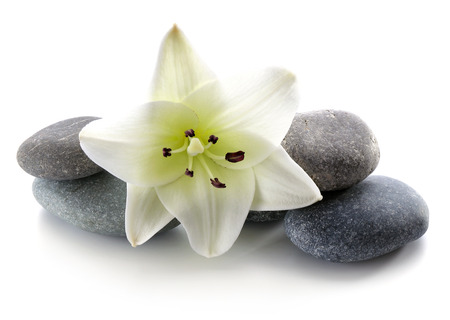Spa stones with flower isolated on whiteの写真素材