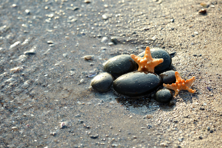 Pebbles with starfish on seashoreの写真素材