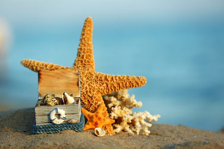 Beautiful starfish with coral and chest on sandy beachの写真素材