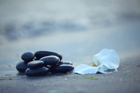 Spa stones with flower on sea beach outdoors