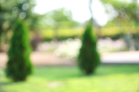Abstract nature backgroundの写真素材