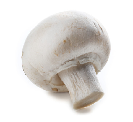 Champignon mushroom isolated on white backgroundの写真素材