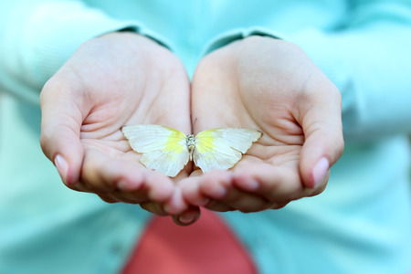 Colorful butterfly in female hand, close-upの写真素材