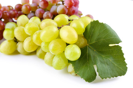 Branches of red of white grape isolated on white background, close upの写真素材