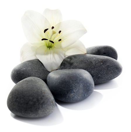 Lily and spa stones isolated on whiteの写真素材
