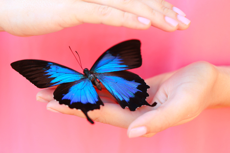 Colorful butterfly in female hand, close-upの写真素材