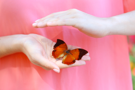 Colorful butterfly in female hand, close-upの写真素材