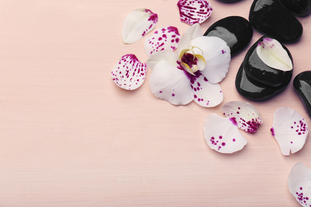 Orchid and zen stones on wooden background close-upの写真素材