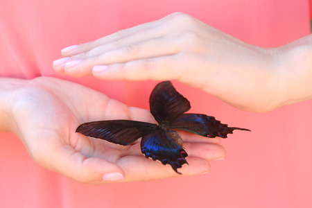 Colorful butterfly in female hand, close-upの写真素材