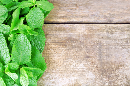 Fresh fragrant mint on wooden backgroundの写真素材