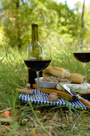 Picnic concept - Wine, delicious cheese, walnuts and baguette on wooden board, outdoorsの写真素材