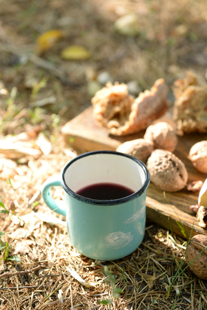 Mug with red wine, delicious cheese and nuts on wooden board outdoors - picnic themeの写真素材