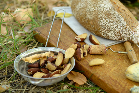 Picnic composition of red wine, delicious cheese, nuts and bread on wooden board, outdoors