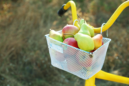 Basket of juicy fruits on bike, outdoorsの写真素材