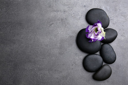 Composition of pebbles and beautiful flower on grey background, empty spaceの写真素材