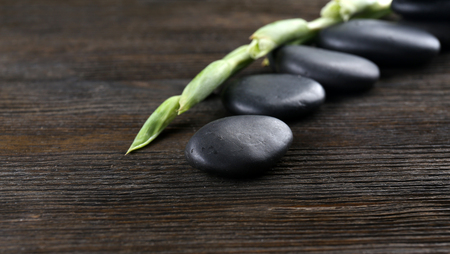 Pebbles with flower branch on wooden backgroundの写真素材