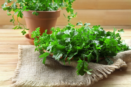 Fresh parsley in pot on wooden tableの写真素材