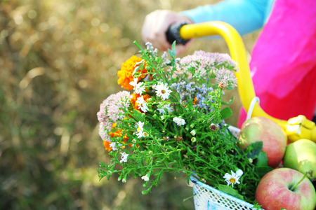 Young woman driving bike with basket of fresh foodstuffs, close-upの写真素材