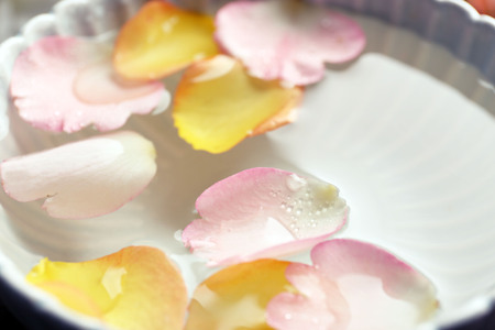 Pink and orange rose petals in a bowl of water, close-upの写真素材