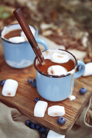 Cocoa with marshmallow in mugs on the groundの写真素材