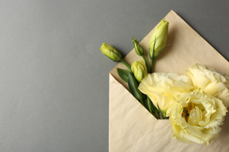 White eustoma in envelope on grey backgroundの写真素材