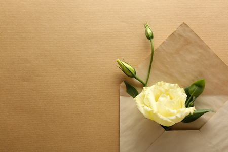 White eustoma in envelope on beige backgroundの写真素材