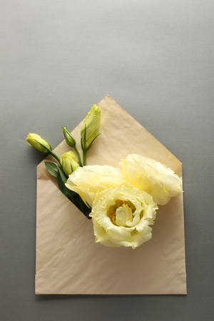 White eustoma in envelope on grey backgroundの写真素材