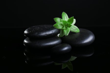 Stack of stones and a green flower, on black background. Spa relaxation conceptの写真素材