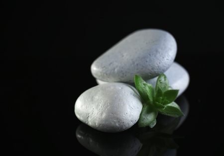 Stack of stones and a green flower, on black background. Spa relaxation conceptの写真素材