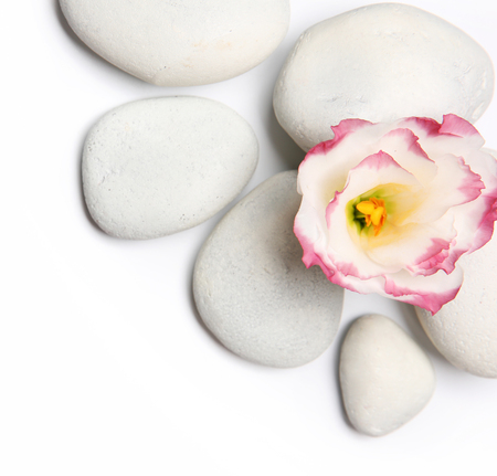 Spa stones and flower on white backgroundの写真素材