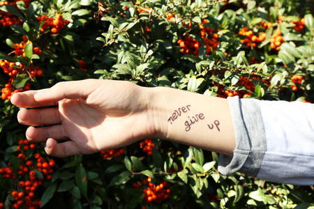 Female hand with tattoo in rowan bush background