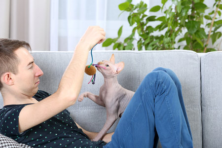 Young handsome man sitting with cat on couch at homeの写真素材