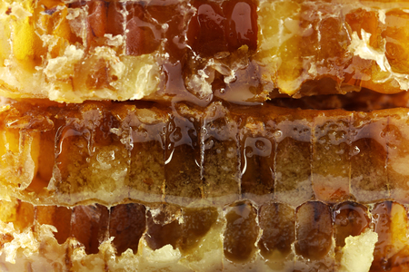 Honeycomb, macro viewの写真素材