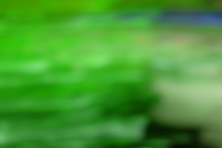 Abstract background of green tree at night, outdoorsの写真素材