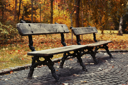 Wooden benches in autumn parkの写真素材