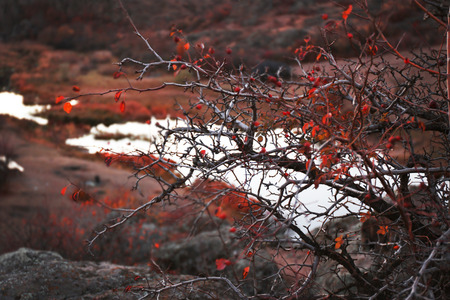 Mountain riverの写真素材