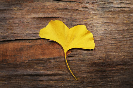 Autumn leaf like a heart on wooden background